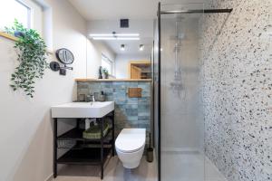 un bagno con wc, lavandino e doccia di DOMKI BURSZTYN a Mrzeżyno Altre 121 foto