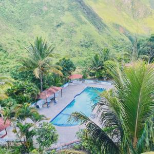 an overhead view of a pool with palm trees and a mountain at HOSTERIA SAN GERONIMO in Ibarra