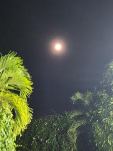 una vista della luna attraverso gli alberi di notte di Eventos Villa Garden ad Aracaju
