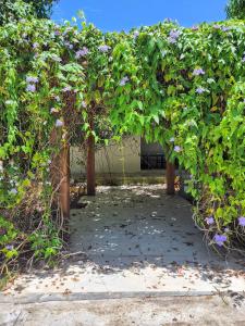 una pérgola con flores púrpuras creciendo en ella en Eventos Villa Garden, en Aracaju