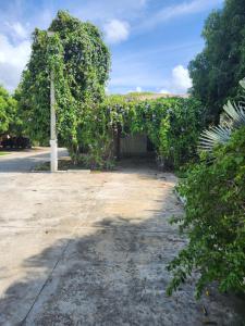 un edificio ricoperto di edera vicino a una strada di Eventos Villa Garden ad Aracaju