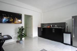 uma cozinha com armários pretos e um frigorífico em HHC Apartments Kronos em Paramaribo
