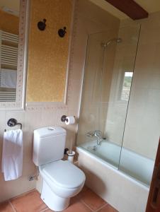 a bathroom with a toilet and a shower and a tub at HOSPEDERIA SANTA FE in Epároz