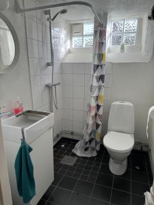 a bathroom with a toilet and a sink and a shower at The Yellow House in Malmö