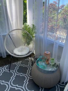 a room with a chair and a bowl of water at 2 Whole Apartments Combined, Big House for Large groups 4 beds, 1 futon , Pet Friendly in South Euclid