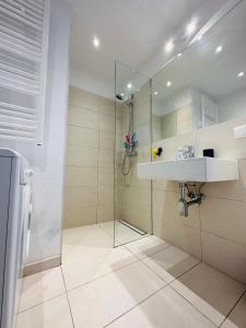 La salle de bains est pourvue d'un lavabo et d'une douche. dans l'établissement Double Floor Apartment, à Vienne