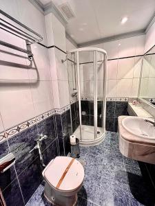 a bathroom with a shower and a toilet and a sink at Hotel Residencia Castellano I in Salamanca