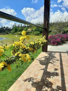 una puerta que conduce a un jardín con flores amarillas en Quintinha do Rio, en Treixedo