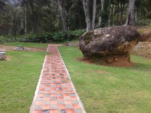 Zahrada ubytování Neelakurunji Plantation Munnar