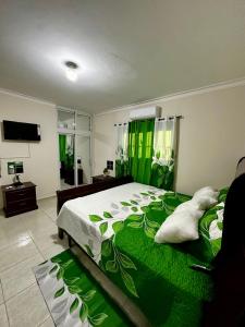 ナグアにあるHotel Mi Dulce Amanecer PyRのベッドルーム1室(大型ベッド1台、緑の毛布付)