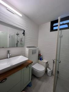 a bathroom with a sink and a toilet and a mirror at Saloniky Garden in H̱olon