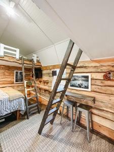 a bedroom with a bunk bed and a ladder at Blythe Shoals Base Camp in Cleveland