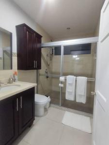 a bathroom with a shower with a toilet and a sink at Casa el Huasteco ! in Escazu