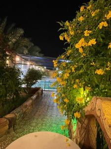 شالية الفوز في المدينة المنورة: حديقة بالليل فيها ورود صفراء ومبنى