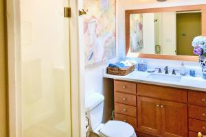 a bathroom with a sink and a toilet and a mirror at The Boat House in Guerneville +33 photos