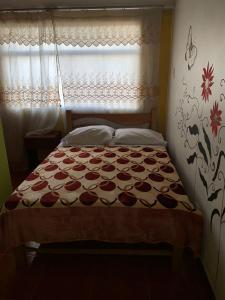a bed in a bedroom with a window and a bedspread at Hospedaje Luciano in Ayacucho