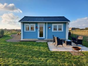 a blue tiny house with chairs in a field at Seafield Cabin in Tromra
