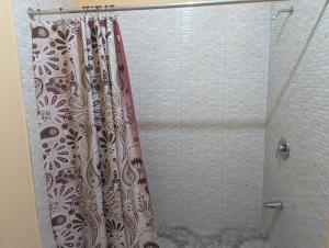 y baño con ducha y cortina de ducha. en Guest Suite in Old Harbour, en Old Harbour
