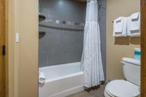 a bathroom with a tub and a toilet and a shower at Suncadia Trailhead 1 Pet Friendly Condo 106 in Cle Elum +6 photos