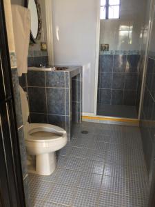 a bathroom with a toilet and a shower at MARGARITA Hotel in San Miguel de Allende +16 photos