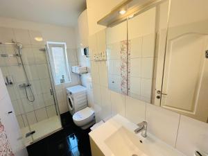 een badkamer met een wastafel, een toilet en een douche bij APARTMENT PROVIDENCA in Zadar