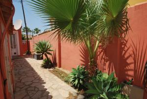 a courtyard with palm trees next to a building at Holidayhome Melodia in Denia
