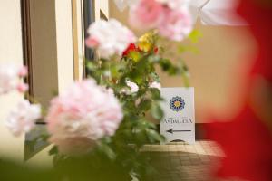 Vonkajšia záhrada v ubytovaní Villa Andalucia SPA & Leisure