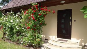 a door of a house with red flowers on it at Dom Wakacyjny in Rowy