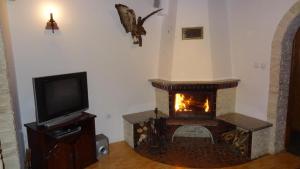 a living room with a fireplace and a tv at Dom Wakacyjny in Rowy