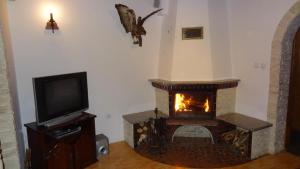 Una sala de estar con chimenea y televisión. en Dom Wakacyjny, en Rowy