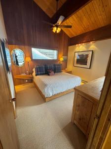 a bedroom with a bed and a ceiling fan at Mountain Summit Serenity Aspen Views Adventure in Aspen