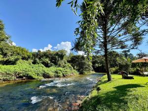 Un río con un árbol a un lado. en Pousada Chalés Jardim das Bromélias - Visconde de Mauá, en Visconde De Maua