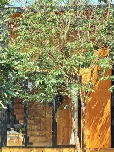 un árbol frente a un edificio con ventana en XOM Organic Farm Stay en Pleiku