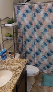 a bathroom with a toilet and a shower curtain at Maggie's Cozy Corner in Wimauma
