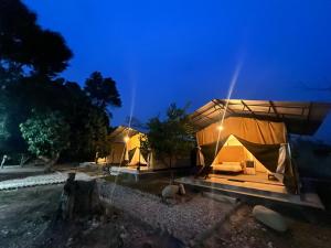 a couple of tents in a field at night at Glampin By Tharu Garden in Sauraha