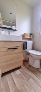 a bathroom with a sink and a toilet at Ferienhaus Chalet Ferienpark Lauwersoog NL in Lauwersoog