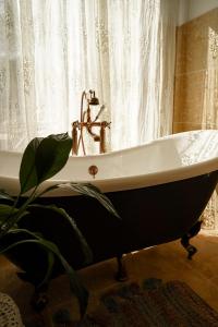 a bath tub in a bathroom with a plant at Maison 47m2 à 10min des plages - billard, baby, salle de sport, jardin in Ajaccio