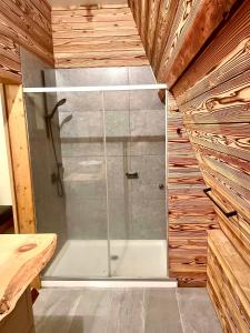 a shower with a glass door in a bathroom at Myoko Casa in Myoko
