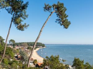 a palm tree leaning over a beach at Appartement Arcachon, 2 pièces, 2 personnes - FR-1-319-110 in Arcachon