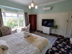 Rosebank Guesthouse في هيلسفيل: غرفة نوم بسرير وتلفزيون بشاشة مسطحة