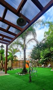 een patio met een palmboom in een tuin bij Breeze Floripa - Campeche in Florianópolis