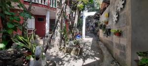 um beco com plantas ao lado de um edifício em Casa Zoila Hospedaje em Flores