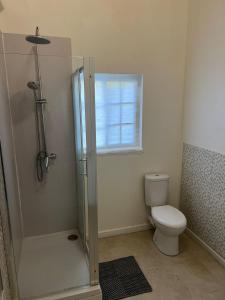 a bathroom with a shower and a toilet at Large Modern Space in Cedar Grove