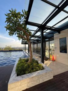 Pollux High Rise Apartments at Batam Center with Netflix by MESA في باتام سنتر: شجره في مزرعه امام مبنى