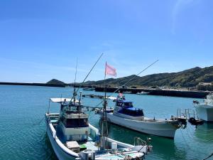 two boats docked in a harbor with a flag at Shimahama in Miyazaki