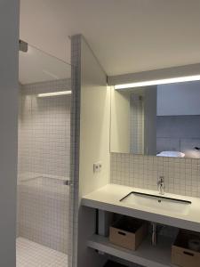 een badkamer met een wastafel en een douche met een spiegel bij Modernes Architektenhaus direkt am Golfplatz Schloss Ranzow. in Lohme