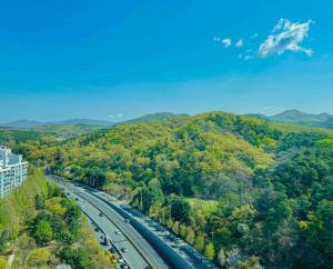 an overhead view of a highway with trees and cars at Seohyeon station 2min Sunny house with beautiful view #Cozy place #the place of the art collector in Seongnam