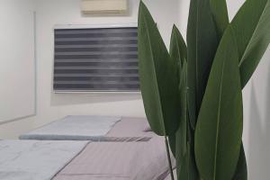 a bedroom with a bed and a plant in front of a window at 14pax 3br Walk to Sunway Pyramid Lagoon in Petaling Jaya
