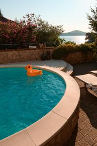 Бассейн в Luxurious city retreat with pool или поблизости
