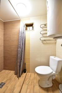 a bathroom with a toilet and a shower at Pundeliškių sodyba in Skynimai